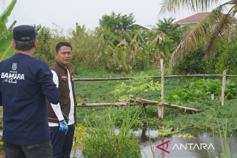 Banjarmasin intensifkan gotong royong bersihkan sungai
