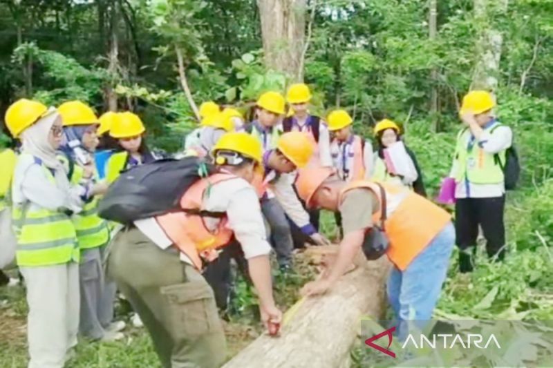 228 mahasiswa Fakultas Kehutanan ULM sukses praktik di PeFI Madiun