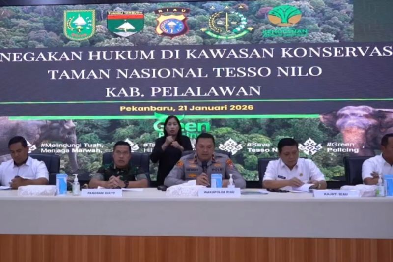 Kuasai 270 ha lahan TN Tesso Nilo jadi kebun sawit, Polda Riau tahan tiga tersangka