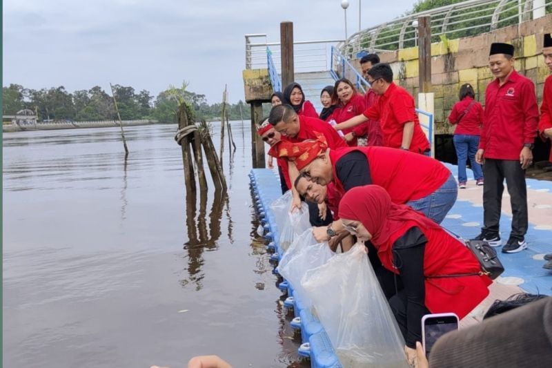 DPC PDIP Siak lepas 7.900 benih ikan lele di Sungai Siak peringati ulang tahun Megawati