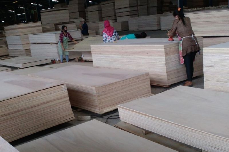BRIN: Inovasi teknologi penting bagi pengembangan produk hasil hutan