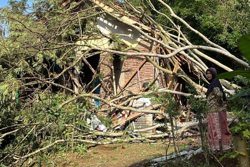 BPBD Ciamis menangani daerah terdampak angin kencang