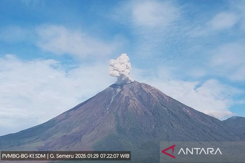 Semeru erupsi lagi setinggi 700 meter di atas puncak