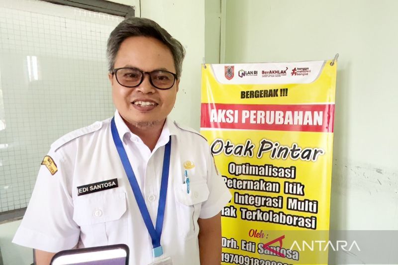 South Kalimantan's Alabio duck population increases to 3.3 million