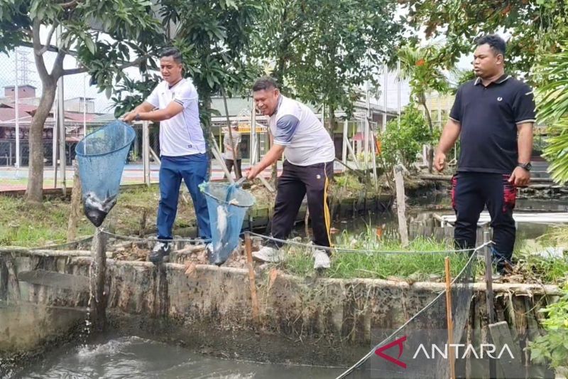 Banjarmasin Penitentiary harvests 75 kg pangasius cultivated by inmates
