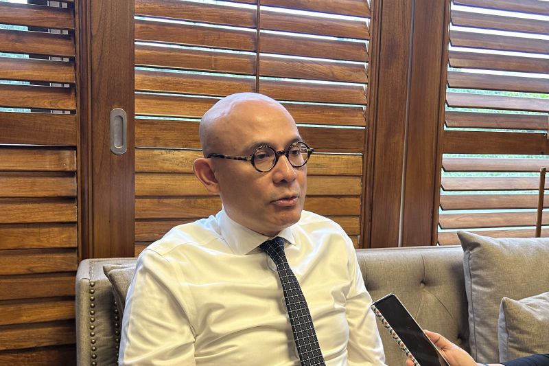 Indonesia to use D-8 chairmanship to bolster Muslim economies