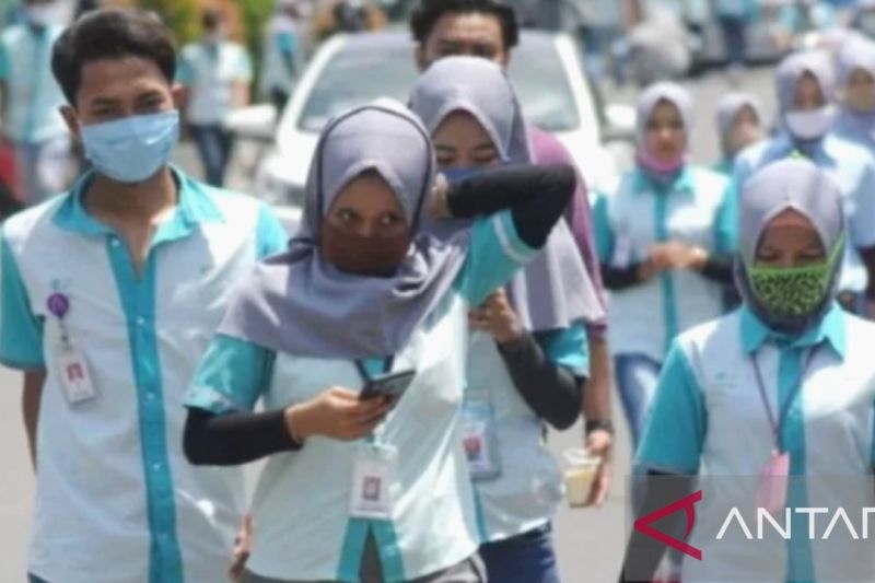 Apindo: Perlindungan pekerja dan daya saing harus diperkuat bersamaan