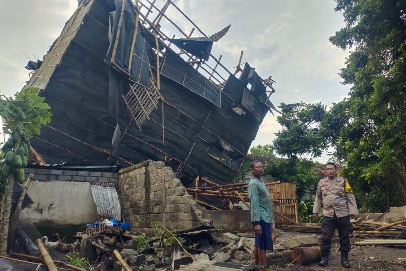 Angin kencang tumbangkan pohon, rumah, gudang, dan sekolah di Jember