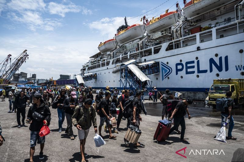 Pemerintah beri diskon tiket mudik hingga 30 persen, pesawat 17 persen