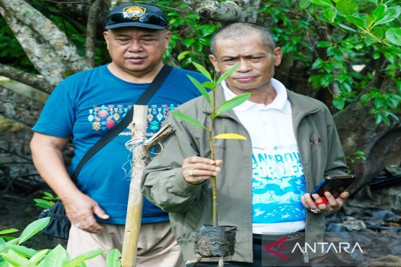 Rektor ULM monitoring pengelolaan mangrove di Kotabaru