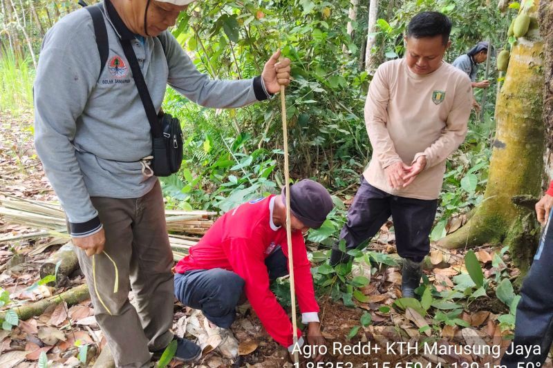 Agroforestry program in S Kalimantan's Tabalong covers 30 hectares