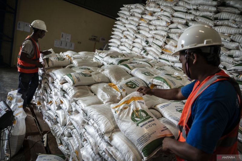Di balik lonjakan stok beras dan masa depan ketahanan pangan