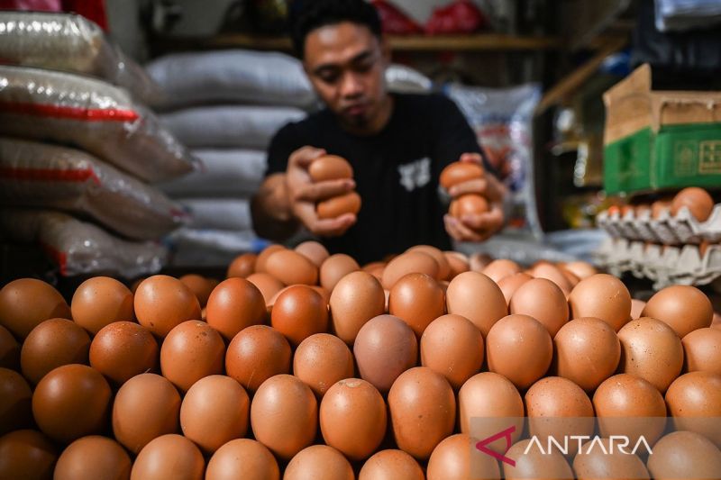 PIHPS: Harga telur ayam Rp32.000 per kg, bawang merah Rp45.950 per kg ...