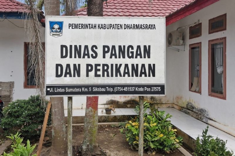 Image Print