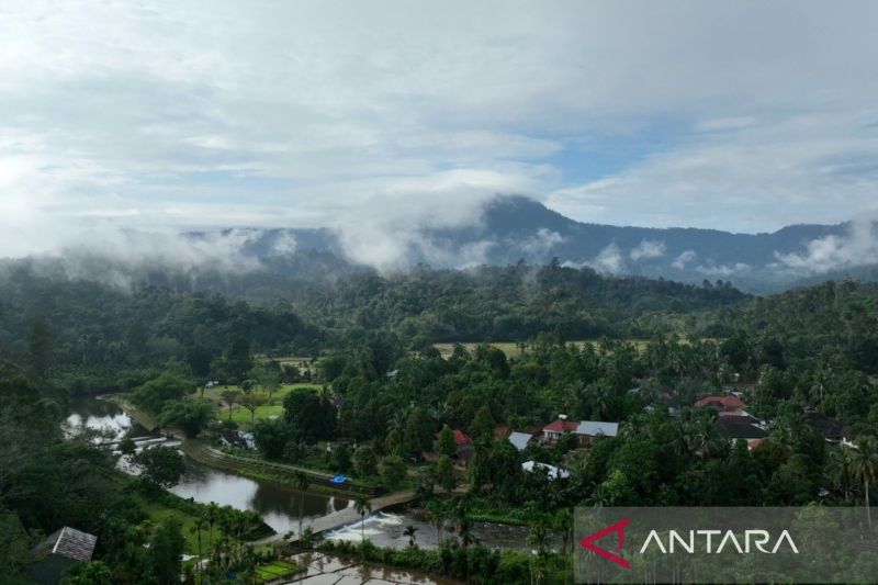Kemenhut perkuat transformasi perdagangan karbon yang inklusif