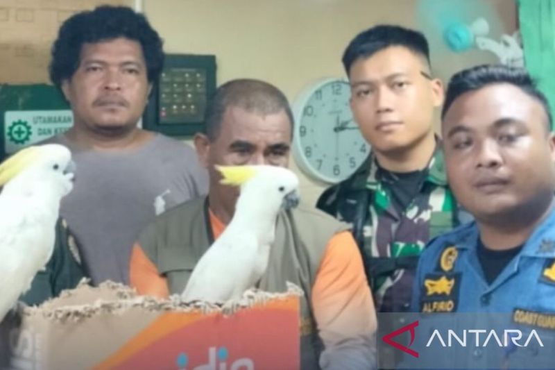 Petugas gagalkan penyelundupan satwa dilindungi di Pelabuhan Ambon