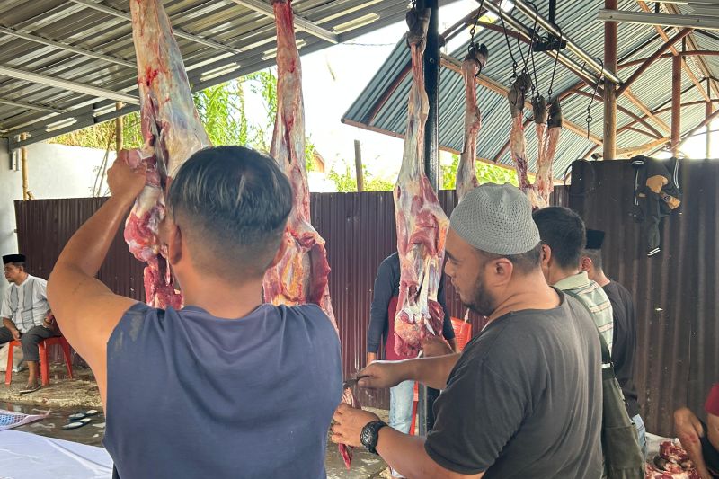 UNG kurbankan 21 sapi hasil iuran dosen dan pegawai