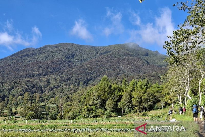 Panduan mendaki Gunung Gede untuk pemula, cara daftar SIMAKSI & persiapan