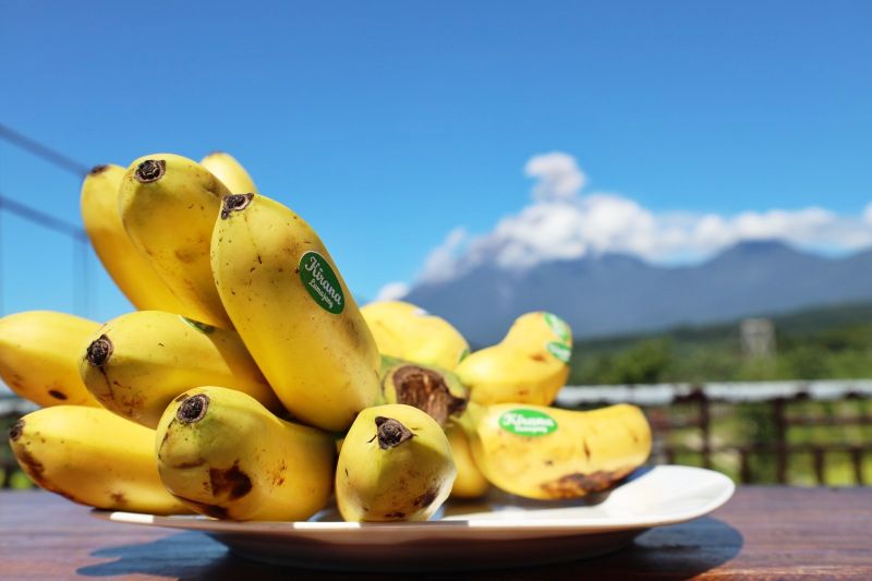 8 buah yang baik untuk membantu mengontrol asam urat