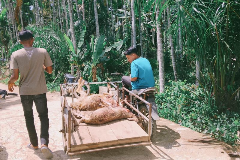 Image Print
