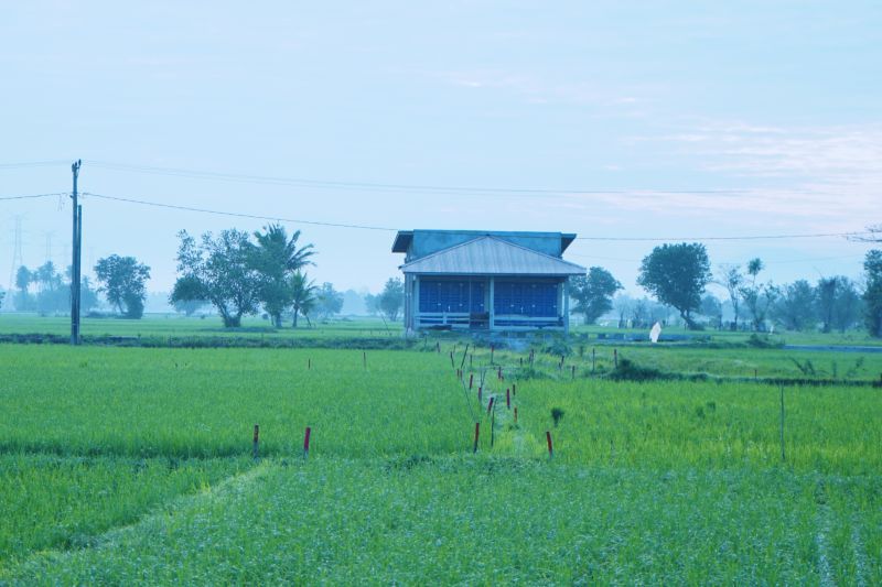 Image Print