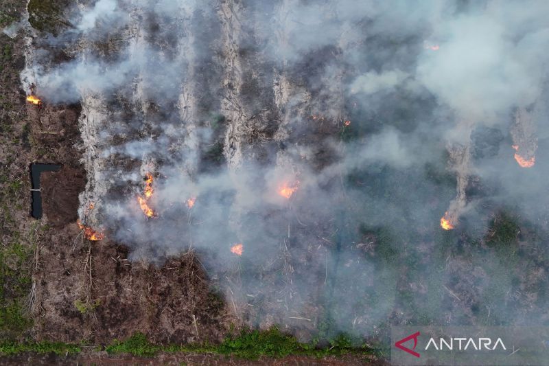 Karhutla Aceh Barat: Antara Bencana & Tanggung Jawab Menjaga Alam