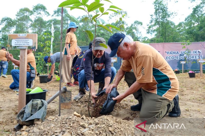 OIKN-UGM-Pamapersada tanam pohon di Wanagama IKN
