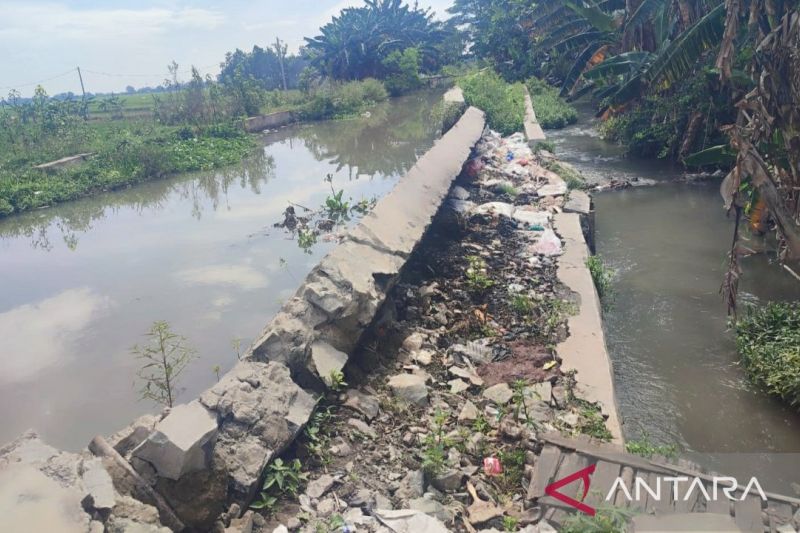 Petani di Karawang khawatirkan sulit air akibat saluran irigasi rusak