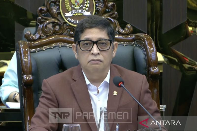 Baleg setujui harmonisasi RUU Kehutanan yang pertegas masyarakat adat