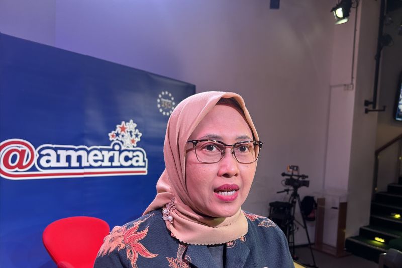 den-nilai-ri-miliki-modal-awal-untuk-kembangkan-energi-nuklir