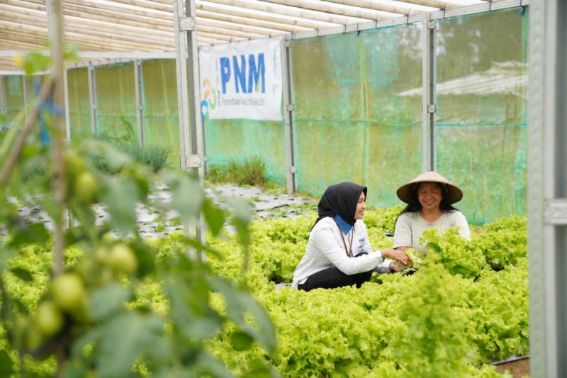 PNM perluas akses pembiayaan hingga wilayah 3T