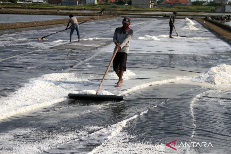 Hilirisasi pemurnian garam industri nasional