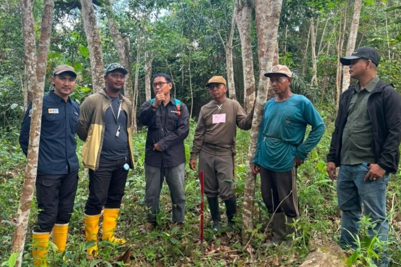 PLN dan BPN Kukar Ukur Lahan Tapak Tower SUTT di Samboja