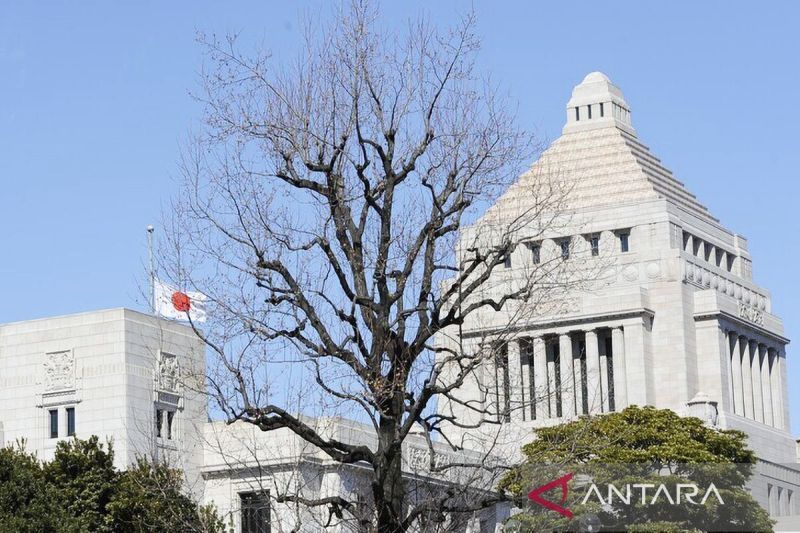 Legislator Jepang bentuk koalisi promosikan kartu koleksi populer