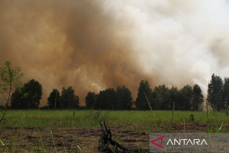 Kanada dilanda kebakaran hutan, kabut asap selimuti ibu kota AS