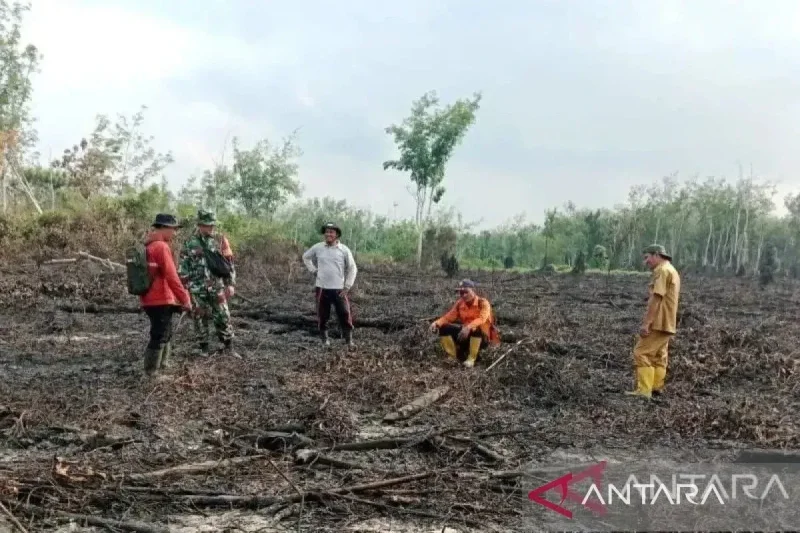 BPBD: Sebanyak 2.557 titik panas di Sumsel hingga pertengahan Juli 2026