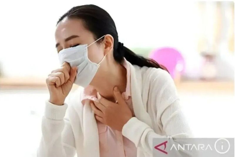 Kasus Flu Singapura di Sumsel tembus 628, Palembang tertinggi