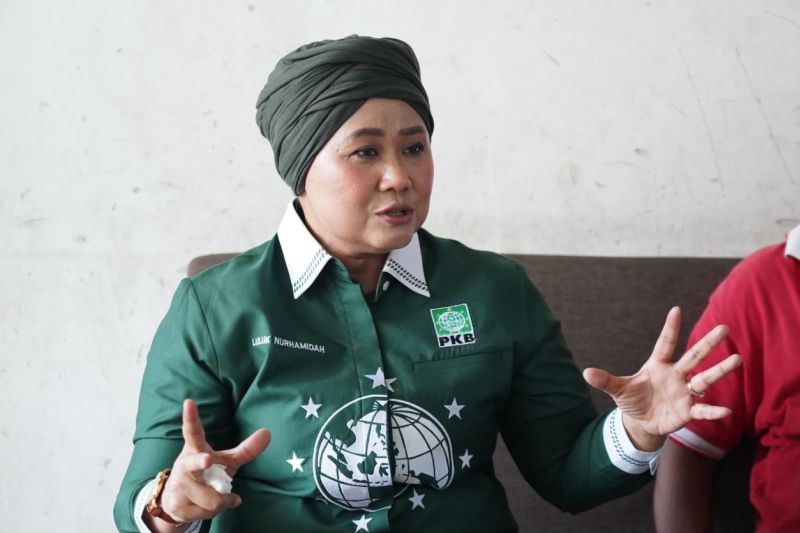 IKA Perempuan PMII sebut PAW Ombudsman harus hormati sistem merit