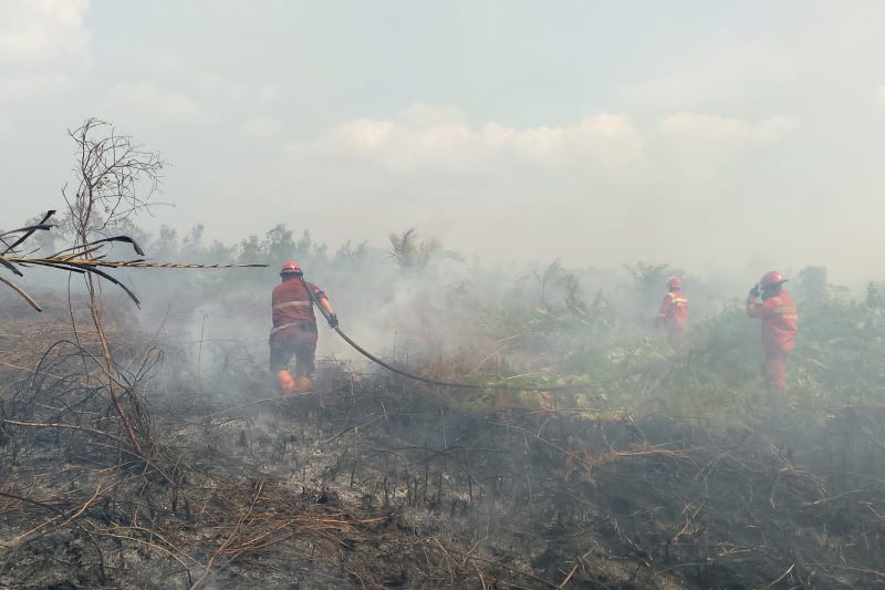 BNPB: Petugas gabungan cepat tangani karhutla di Blora dan Klaten