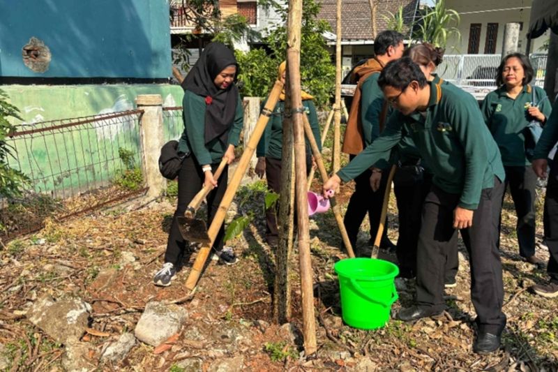 Perluas RTH di Jakbar, Sudin Tamhut kembali lakukan penghijauan