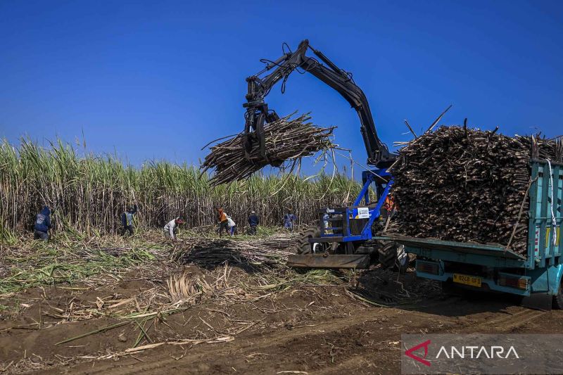 Pengamat: Pengembangan bioetanol berbasis tebu butuh kepastian pasar