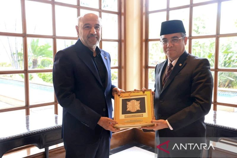 INFID: RI berpeluang strategis dorong pembangunan inklusif BRICS