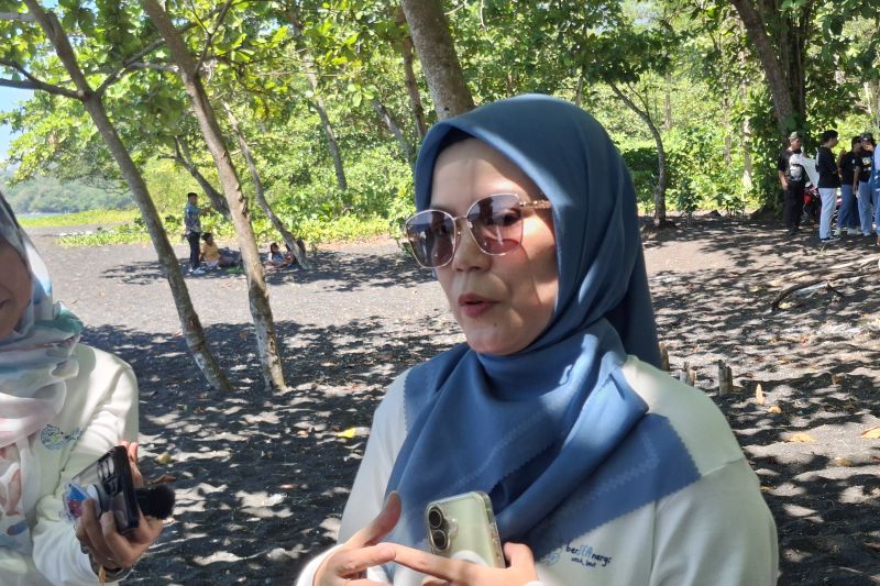 PTK memperluas penerapan "green shipping" lewat panel surya kapal