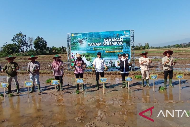 Kementan percepat tanam Oplah dan CSR tingkatkan produksi pangan