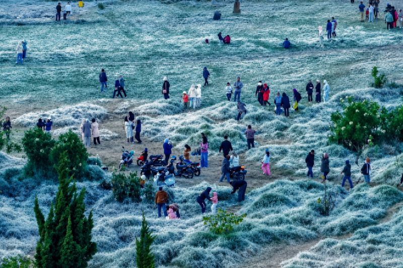 Embun upas di Dieng berpotensi lebih sering pada kemarau 2026