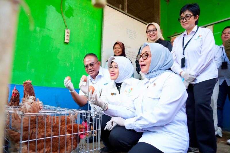 Menteri PPPA dan Kepala BPS apresiasi pemberdayaan PNM untuk usaha ekonomi sirkular