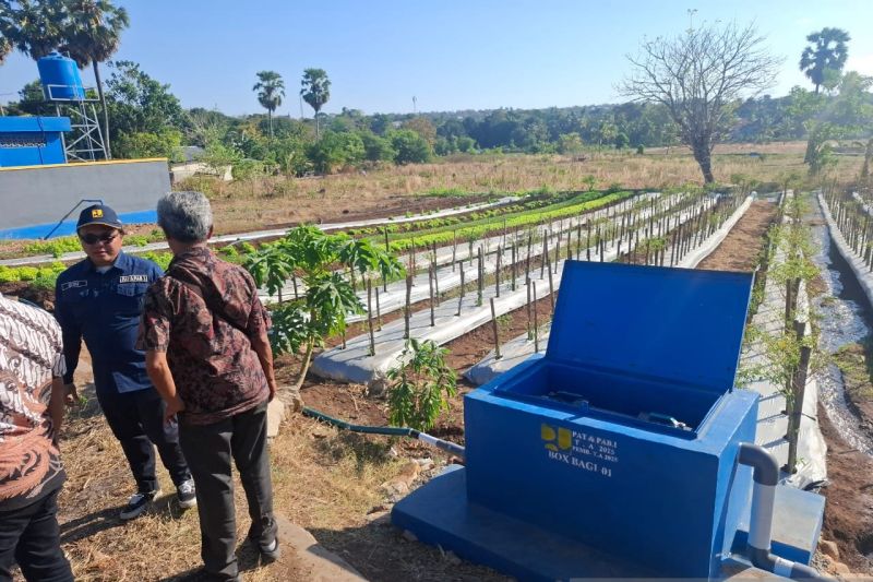 BBWS NT II bantu petani di Kupang melalui program JIAT 