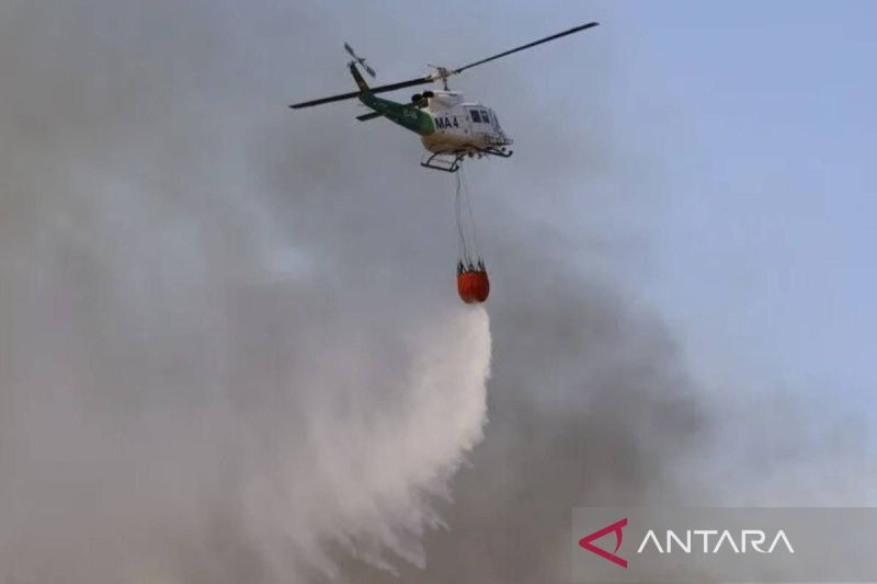 1.200 warga mengungsi akibat kebakaran hutan di Spanyol