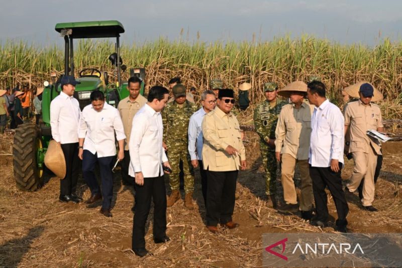 Pengamat nilai TNI layak dilibatkan dalam program ketahanan pangan