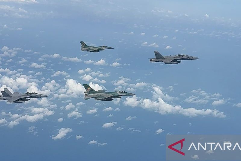 TNI AU gandeng TUDM pantau wilayah perbatasan dengan pesawat tempur